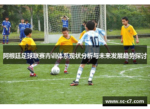 阿根廷足球联赛青训体系现状分析与未来发展趋势探讨