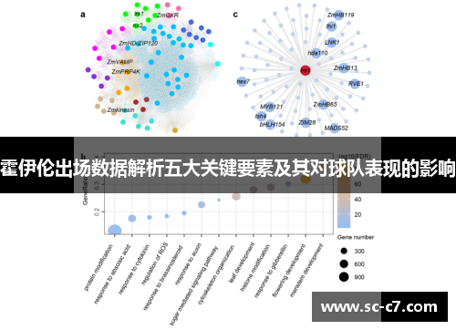 霍伊伦出场数据解析五大关键要素及其对球队表现的影响