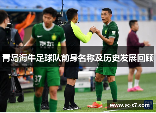 青岛海牛足球队前身名称及历史发展回顾 青岛海牛足球队前身名称及历史发展回顾