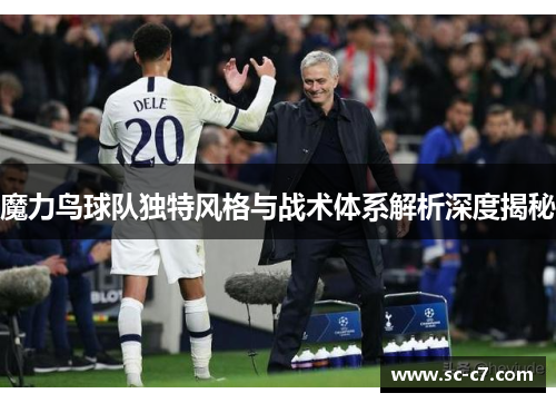 魔力鸟球队独特风格与战术体系解析深度揭秘