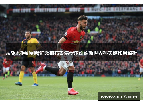 从战术枢纽到精神领袖布鲁诺费尔南德斯世界杯关键作用解析