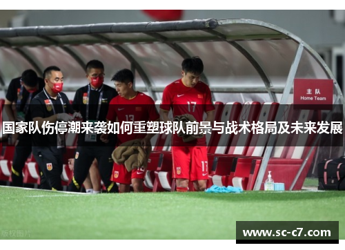 国家队伤停潮来袭如何重塑球队前景与战术格局及未来发展