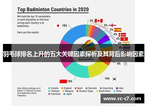 羽毛球排名上升的五大关键因素探析及其背后影响因素