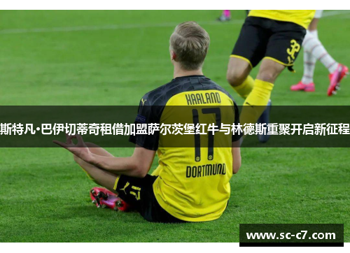 斯特凡·巴伊切蒂奇租借加盟萨尔茨堡红牛与林德斯重聚开启新征程