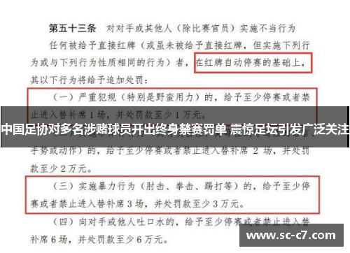 中国足协对多名涉赌球员开出终身禁赛罚单 震惊足坛引发广泛关注