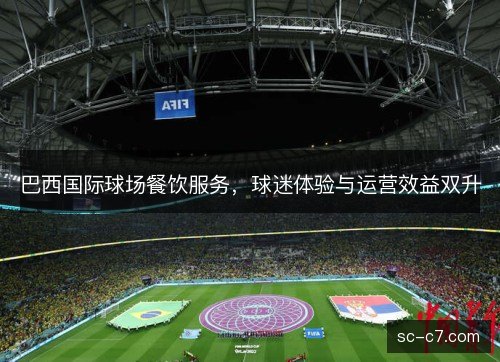 巴西国际球场餐饮服务,球迷体验与运营效益双升 巴西国际球场餐饮服务,球迷体验与运营效益双升